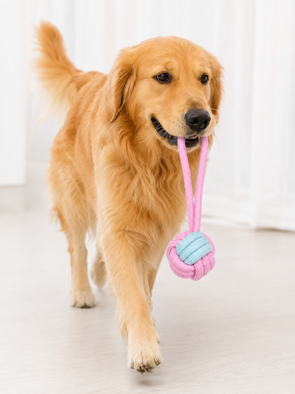 Jouets en Corde | LoopBall