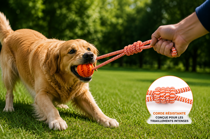 Jouet en corde avec balle | DentalLoop