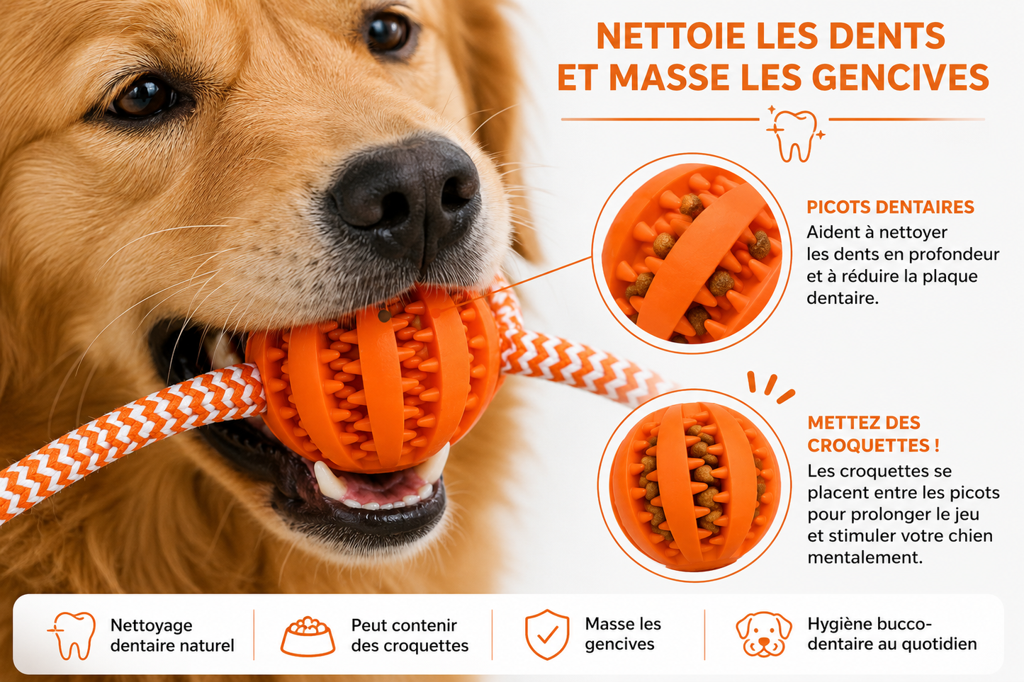 Jouet en corde avec balle | DentalLoop