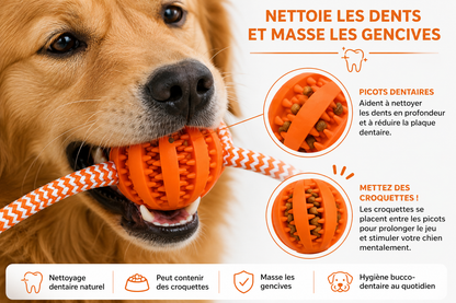 Jouet en corde avec balle | DentalLoop