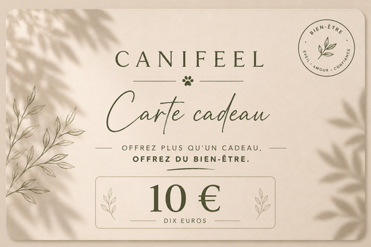 Carte cadeau Canifeel