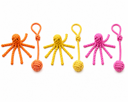 Pack Océan – Jouets en Corde pour Chien