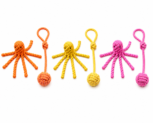 Pack Océan – Jouets en Corde pour Chien