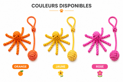 Pack Océan – Jouets en Corde pour Chien