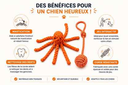 Pack Océan – Jouets en Corde pour Chien