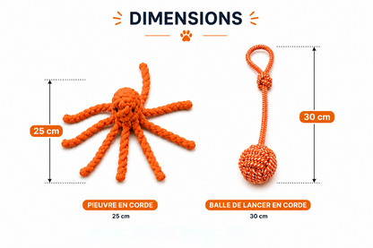 Pack Océan – Jouets en Corde pour Chien