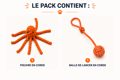 Pack Océan – Jouets en Corde pour Chien