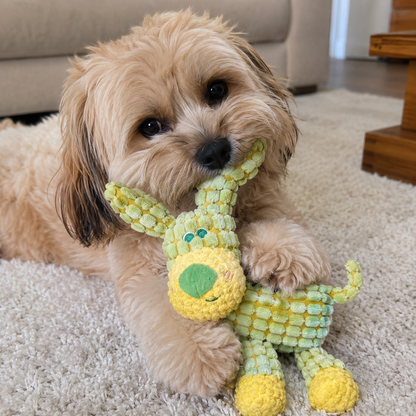 Doudou Chien – PACO