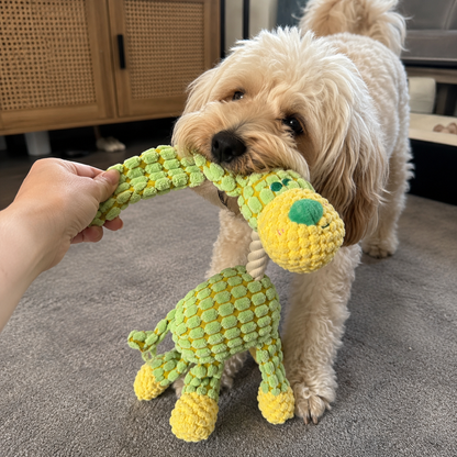 Doudou Chien – PACO