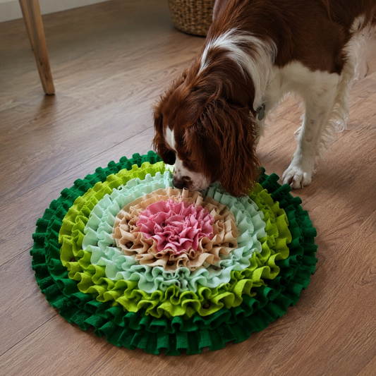 Chien utilisant le tapis de fouille Flora 50 cm